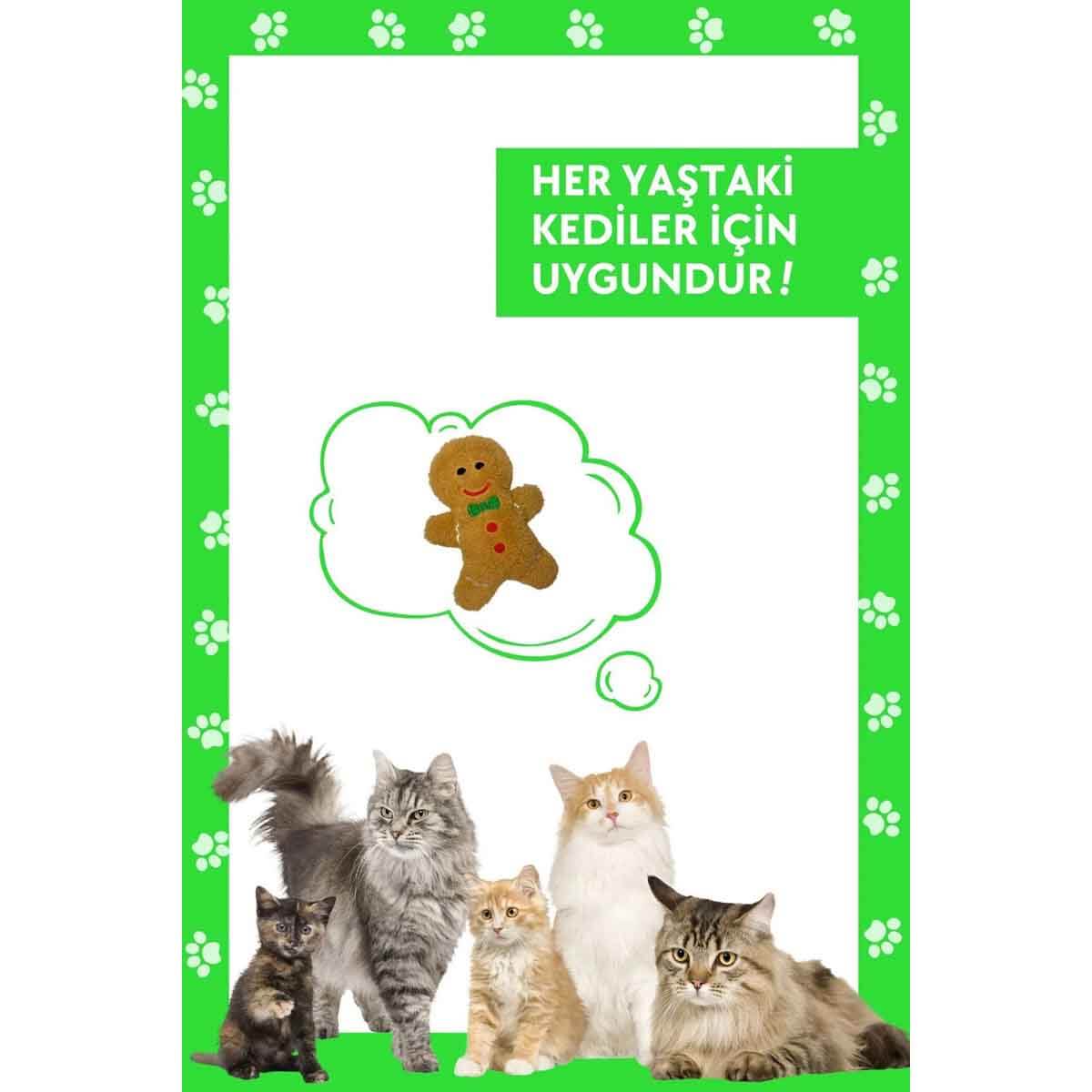undefined - 7d10e_Miyav_Hisirtili_Gingerbread_Pelus_Kurabiye_Kedi_Oy.jpg