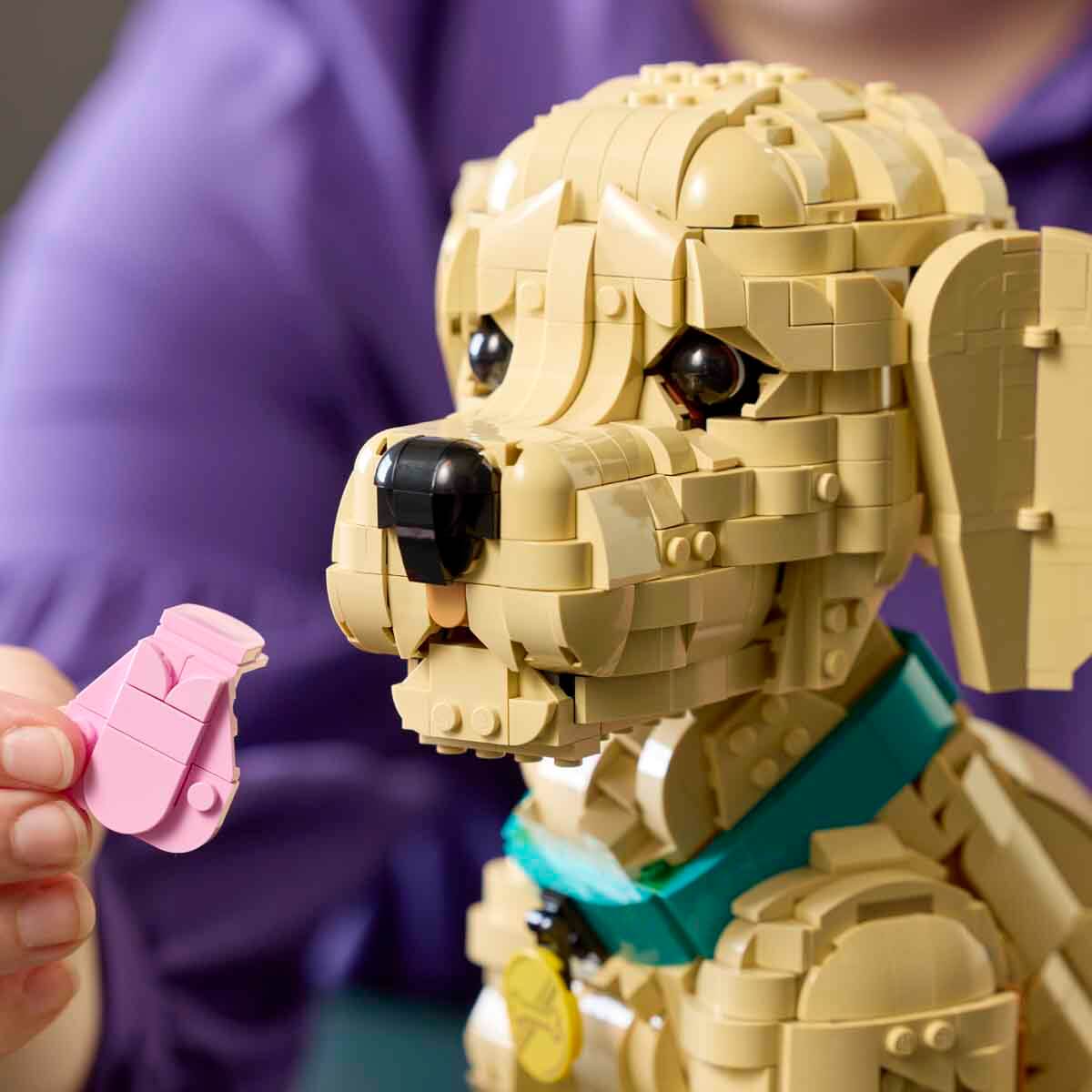 undefined - 80f28_LEGO_Icons_Yavru_Golden_Retriever_11384.jpg