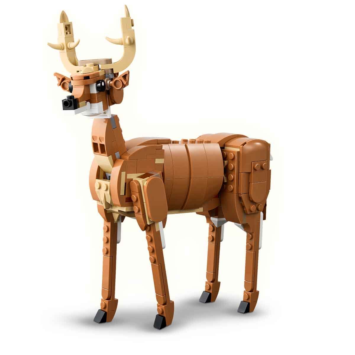 undefined - 80f45_LEGO_Creator_3u_1_Arada_Guzel_At_31166_.jpg