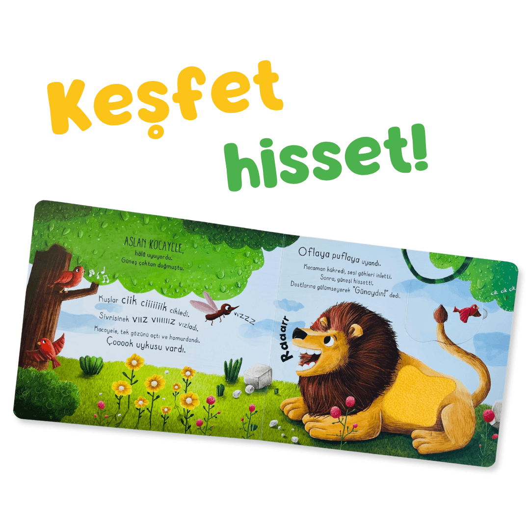undefined - 818ca_Ilk_Dokun_Hisset_Kitabim_Ormana_Dokun.png