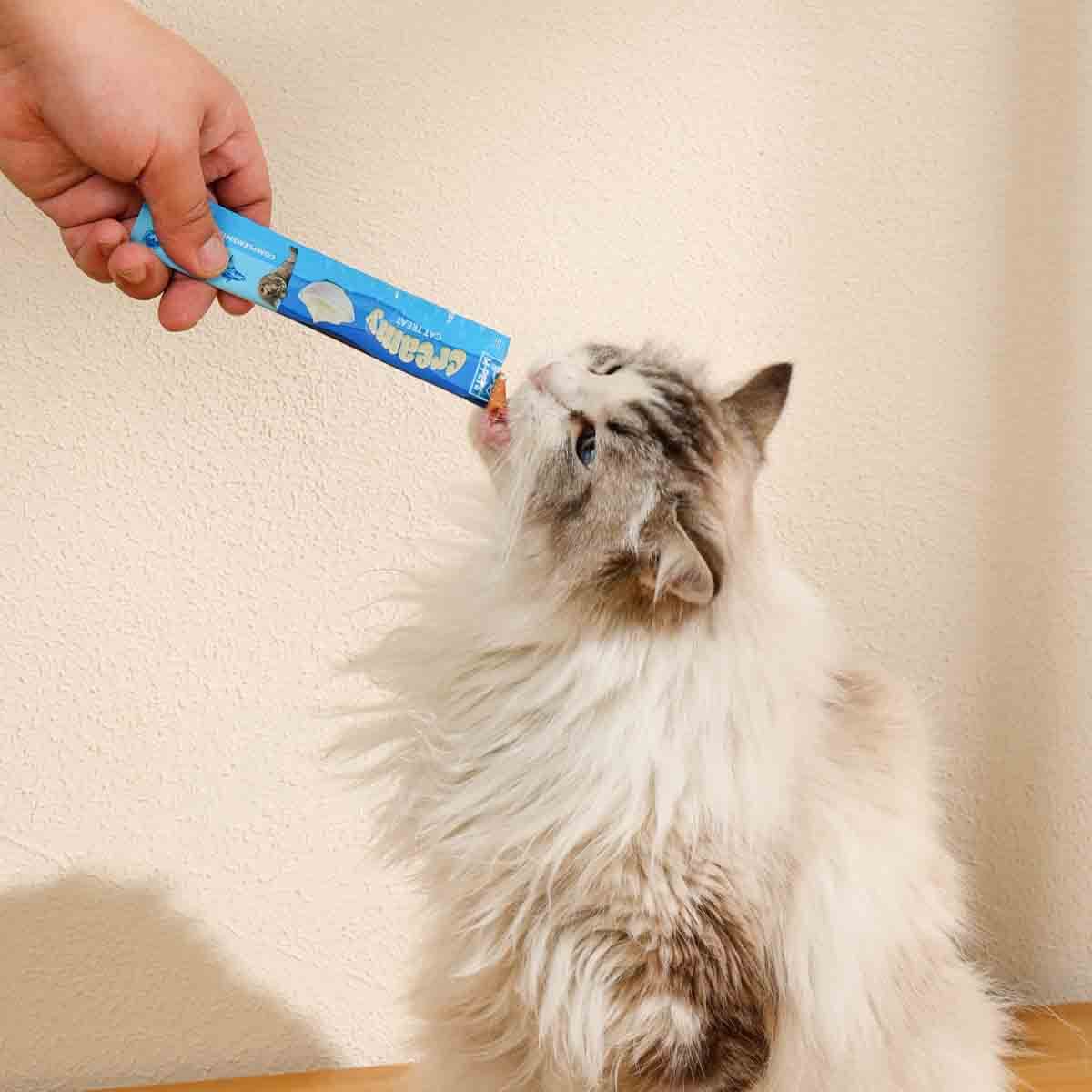 undefined - 83395_M_Pets_Creamy_Ton_Balikli_Karidesli_Kedi_Odulu.jpg