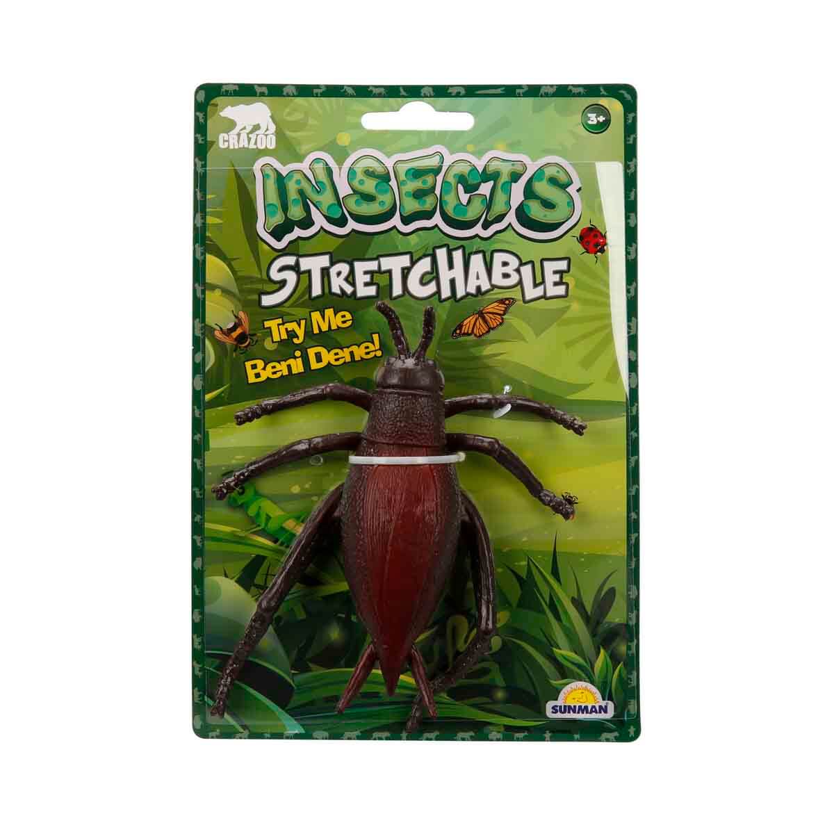 undefined - 84dc8_Strec_Bocekler.jpg