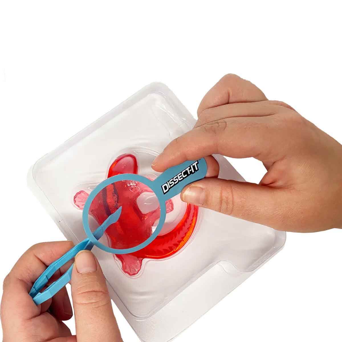 undefined - 84deb_Slimy_Lab_Mini_Semender_Laboratuvari_.jpg