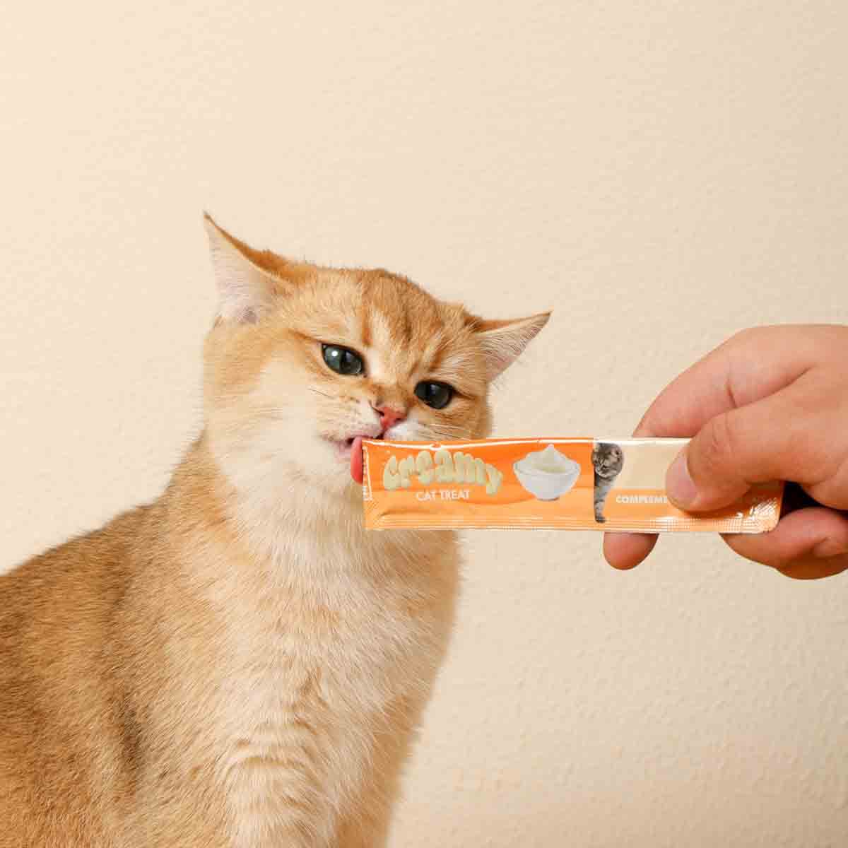 undefined - 84e90_M_Pets_Creamy_Yengecli_Kedi_Odulu.jpg