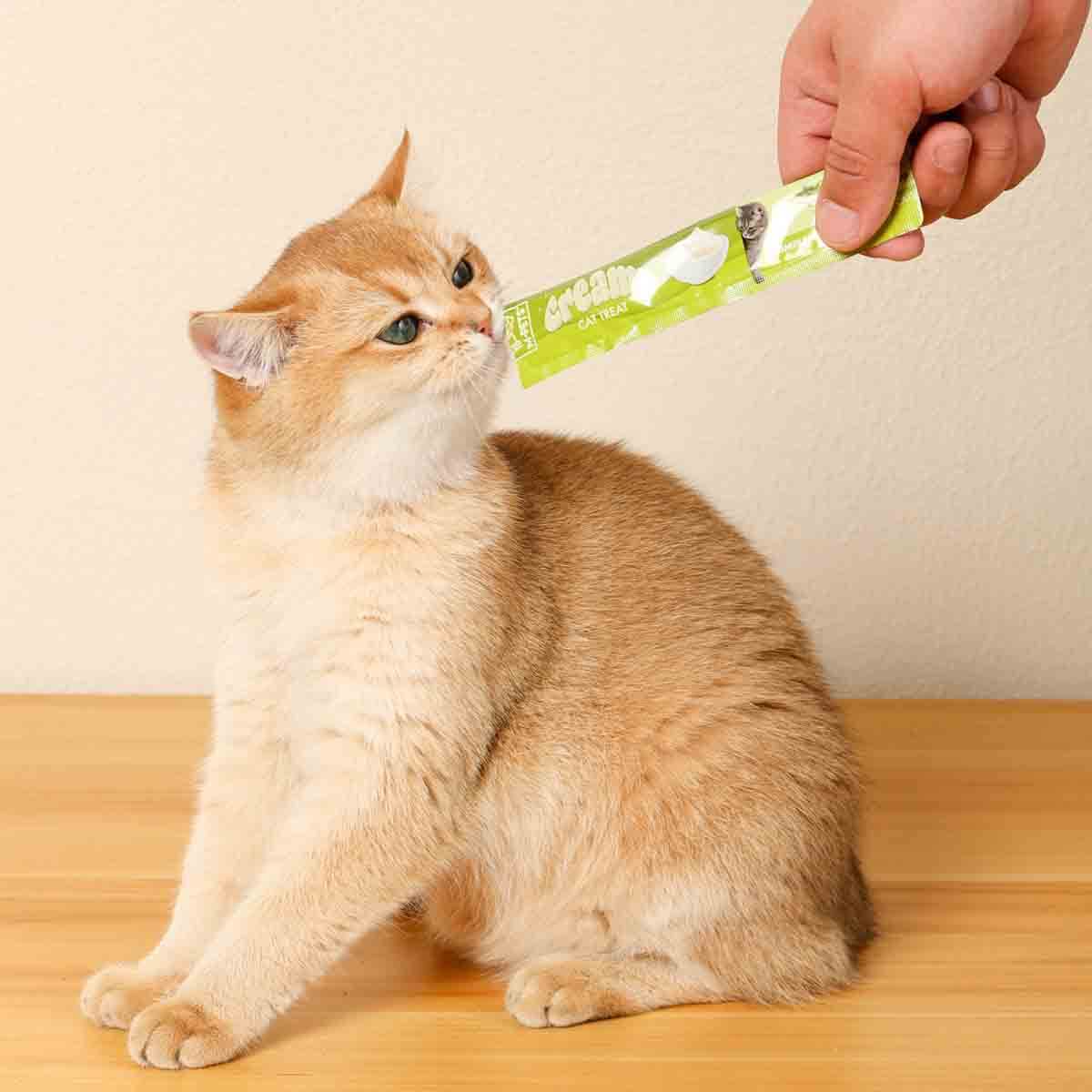 undefined - 88352_M_Pets_Creamy_Ton_Balikli_Deniz_Tarakli_Kedi_Odulu.jpg