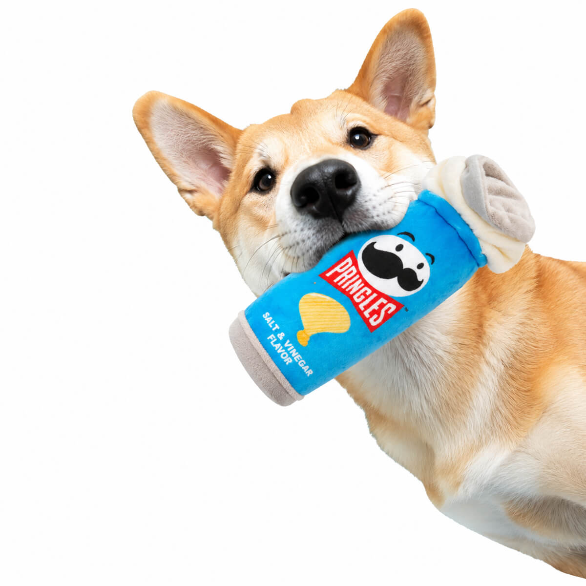 undefined - 898cc_Eolo_Pringles_Gicirdakli_Kopek_Oyuncagi.jpg
