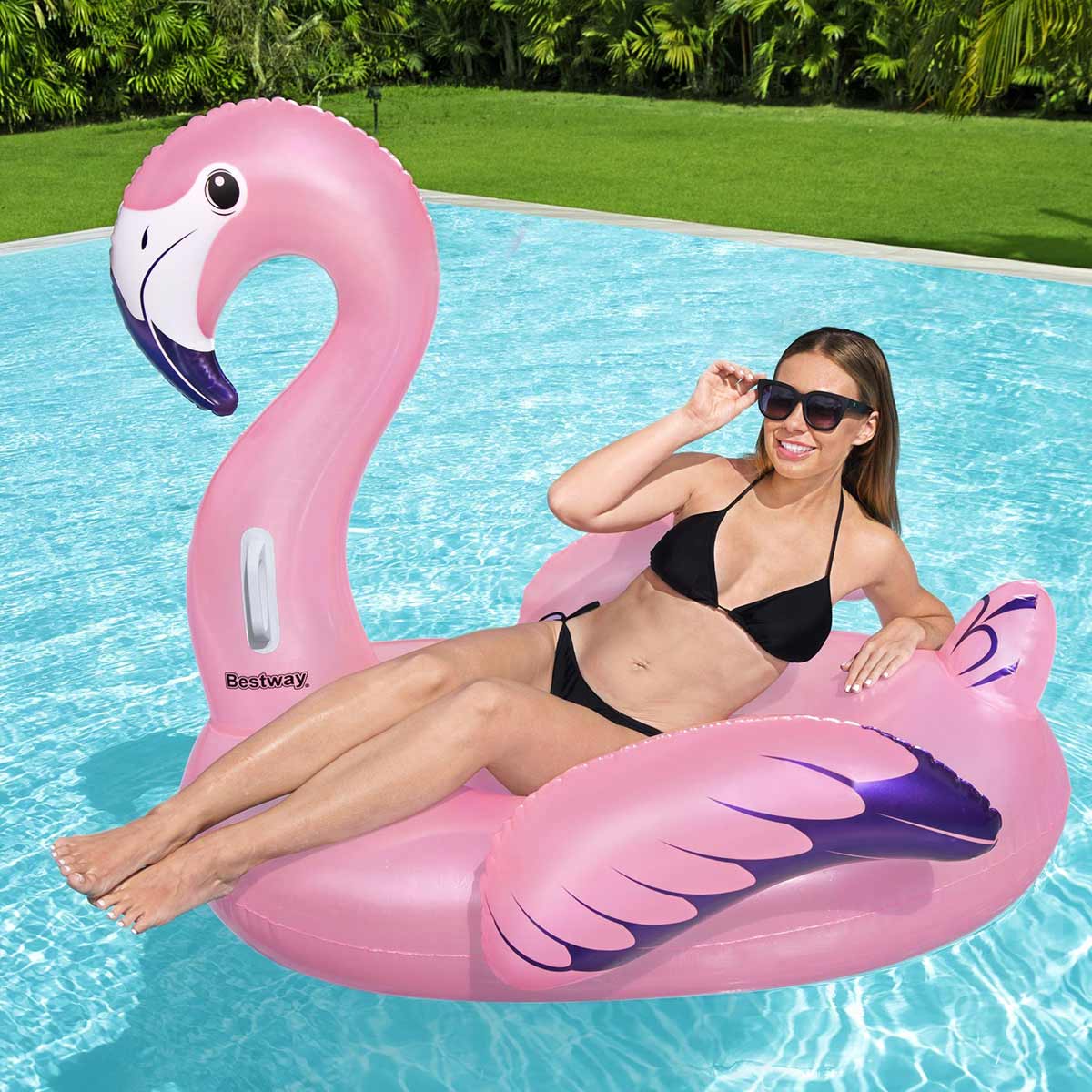 undefined - 8b5f8_Flamingo_Sisme_Bot.jpg