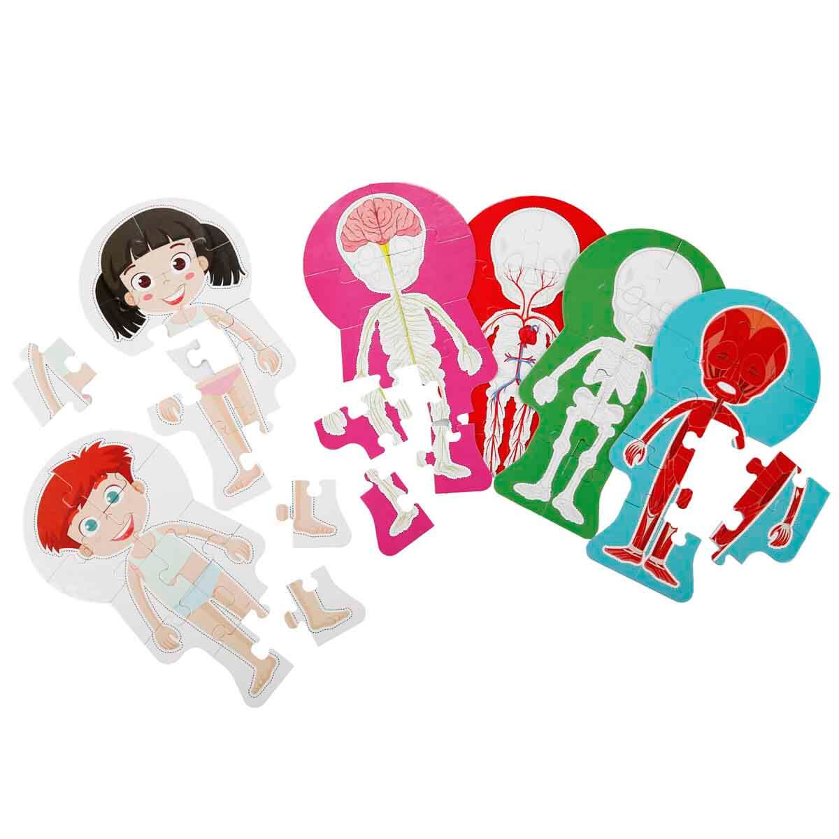undefined - 8db4a_Smile_Games_Insan_Vucudu_Puzzle_60_Parca_.jpg