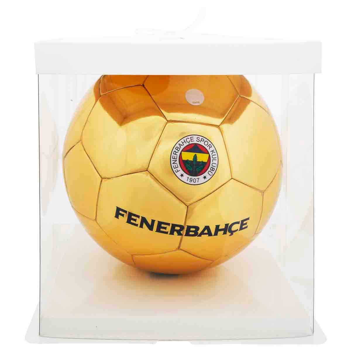 undefined - 8f759_Fenerbahce_Futbol_Topu_FB_5127.jpg