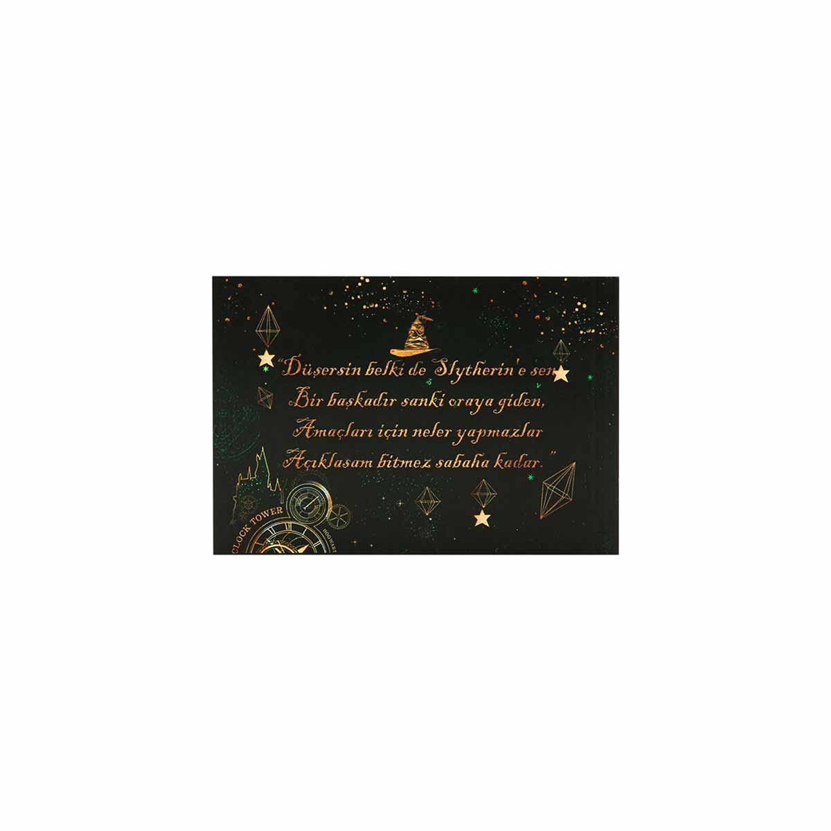 undefined - 8fa60_Harry_Potter_Hediye_Kutusu_Slytherin.JPG