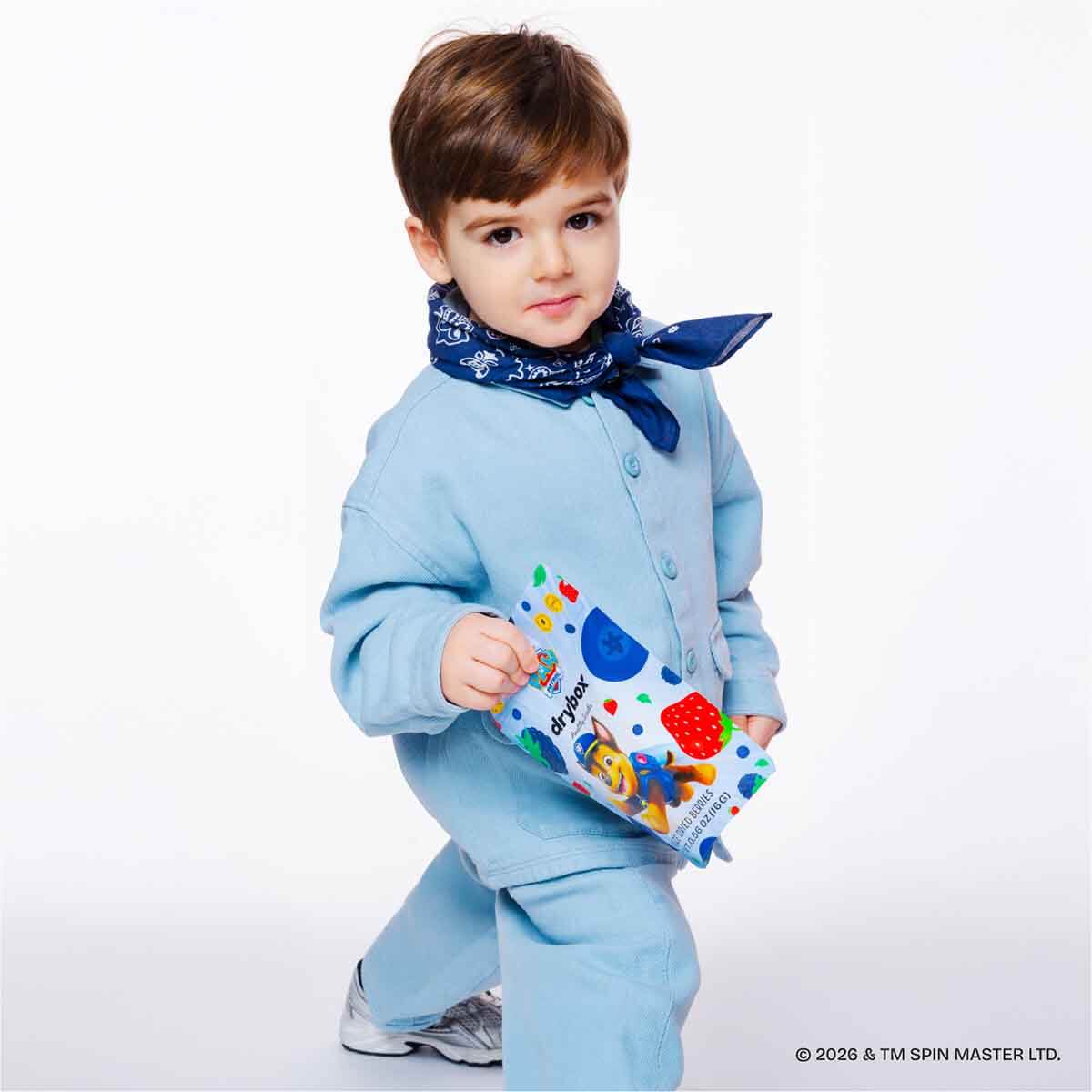undefined - 95cb6_DryBOX_PAW_Patrol_Dondurularak_Kurutulmus_Orman_Me.jpg