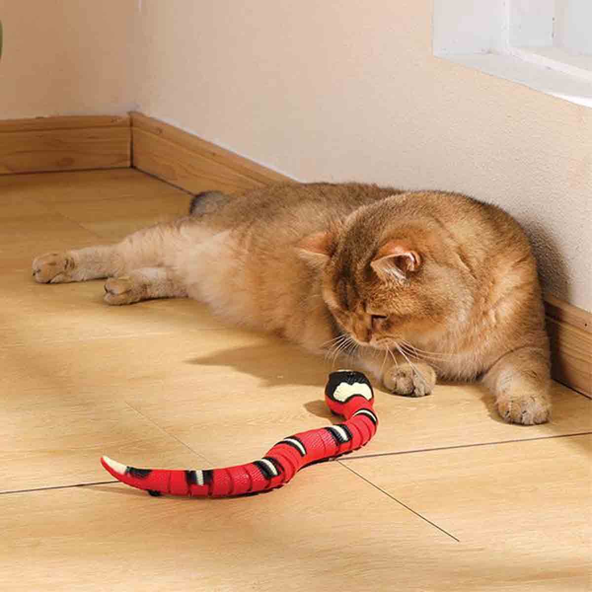undefined - 9b92a_M_Pets_Sneaky_Snake_Interaktif_Kedi_Oyuncagi.jpg