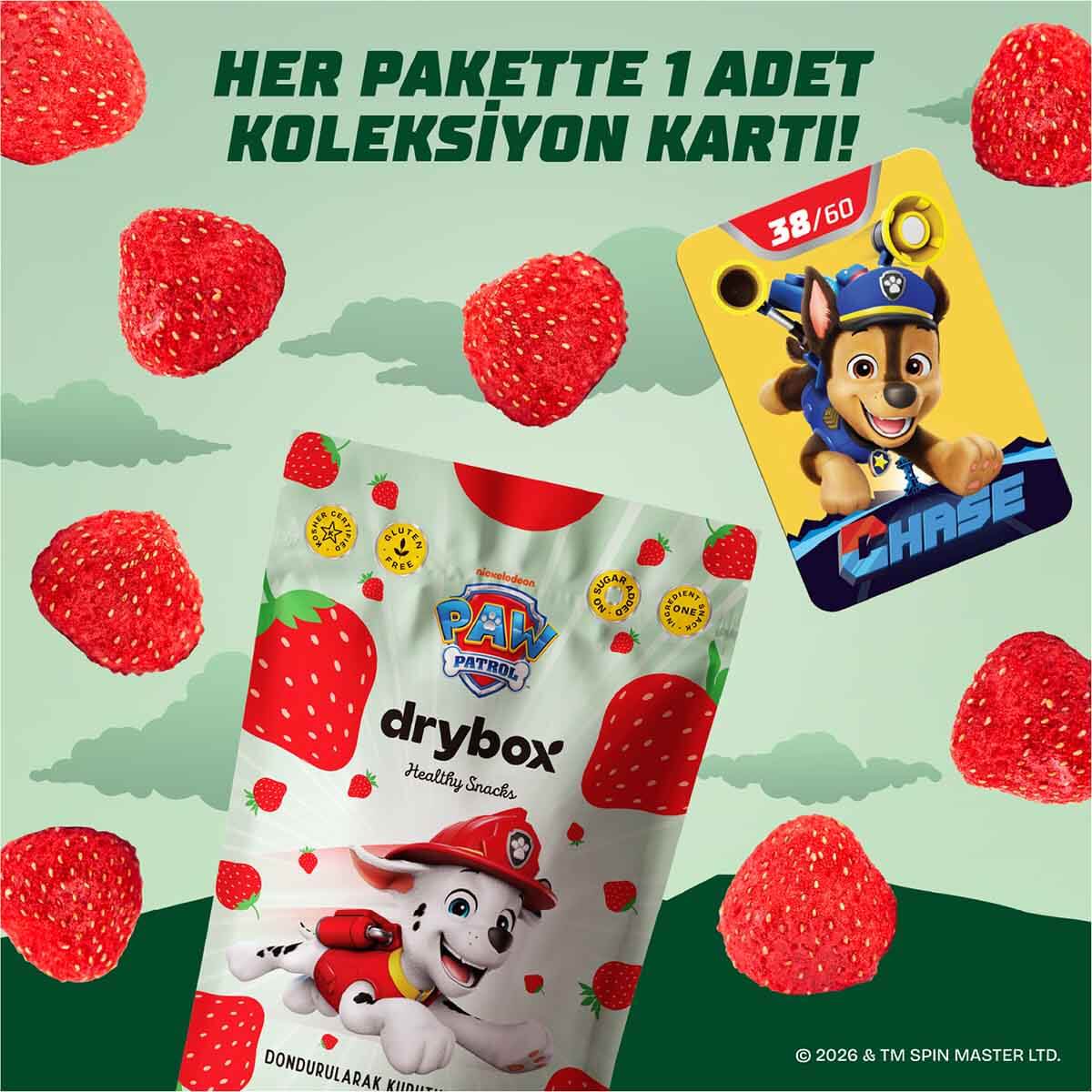 undefined - a0d4a_DryBOX_PAW_Patrol_Dondurularak_Kurutulmus_Cilek_12.jpg