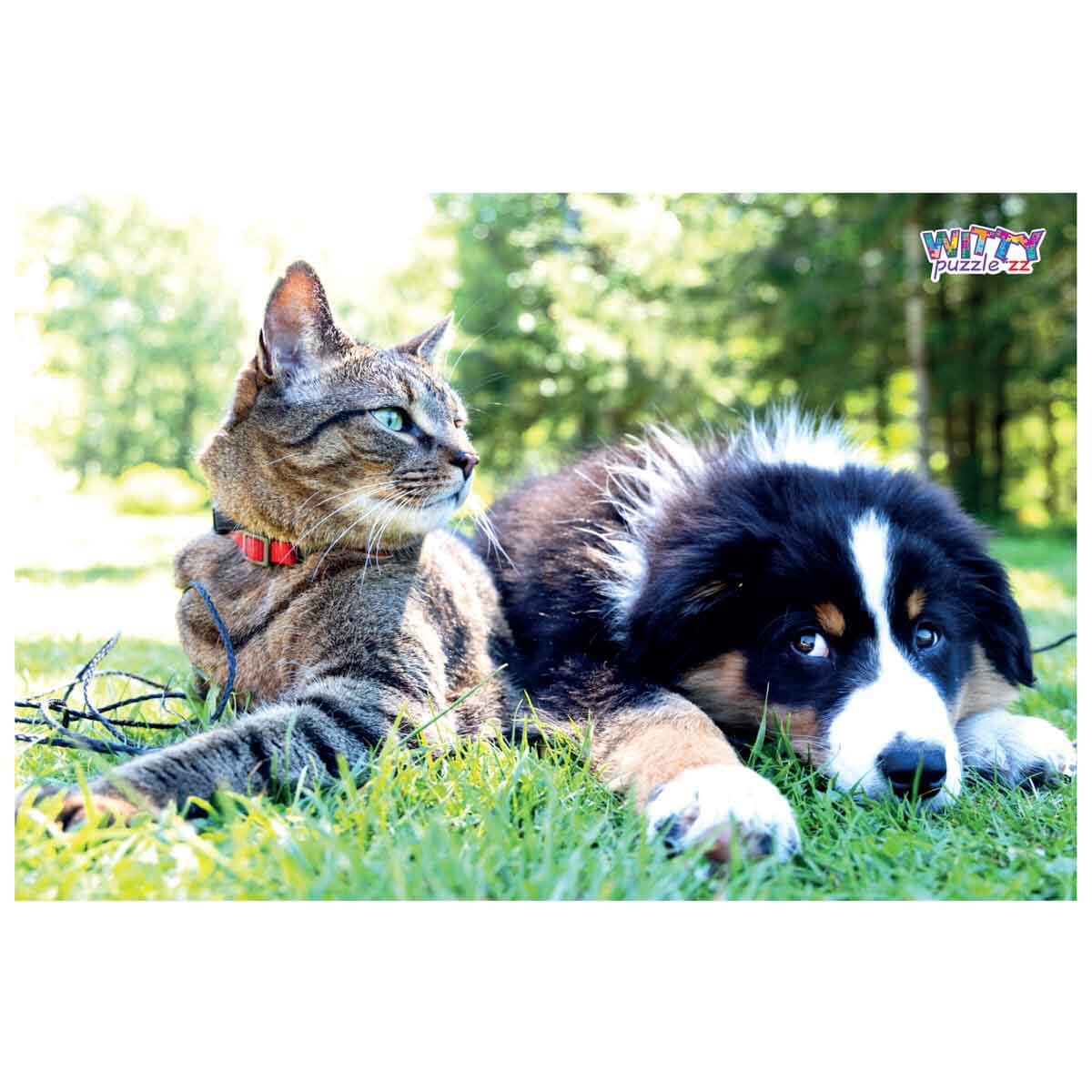 undefined - a3ab3_35_Parca_Puzzle__Kedi_Ile_Kopek.jpg