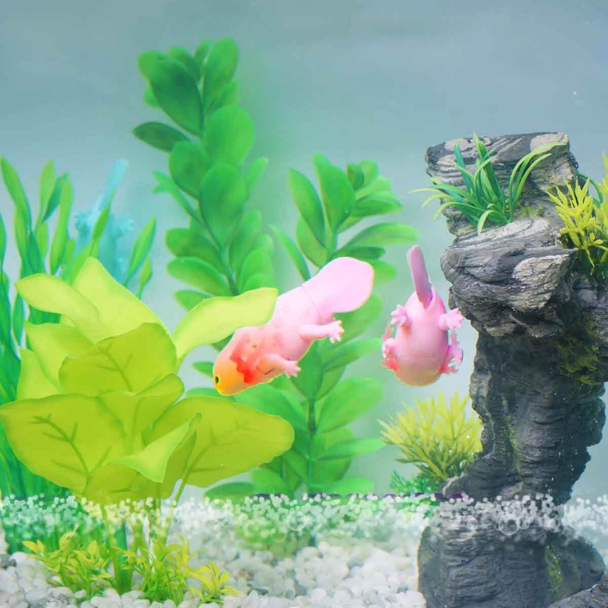 undefined - a4476_Pets_Alive_Yuzen_Axolotl_PEL09000.jpg