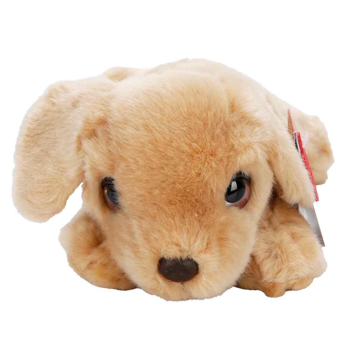 undefined - a5604_Labrador_Pelus_Kopek_25_cm.jpg
