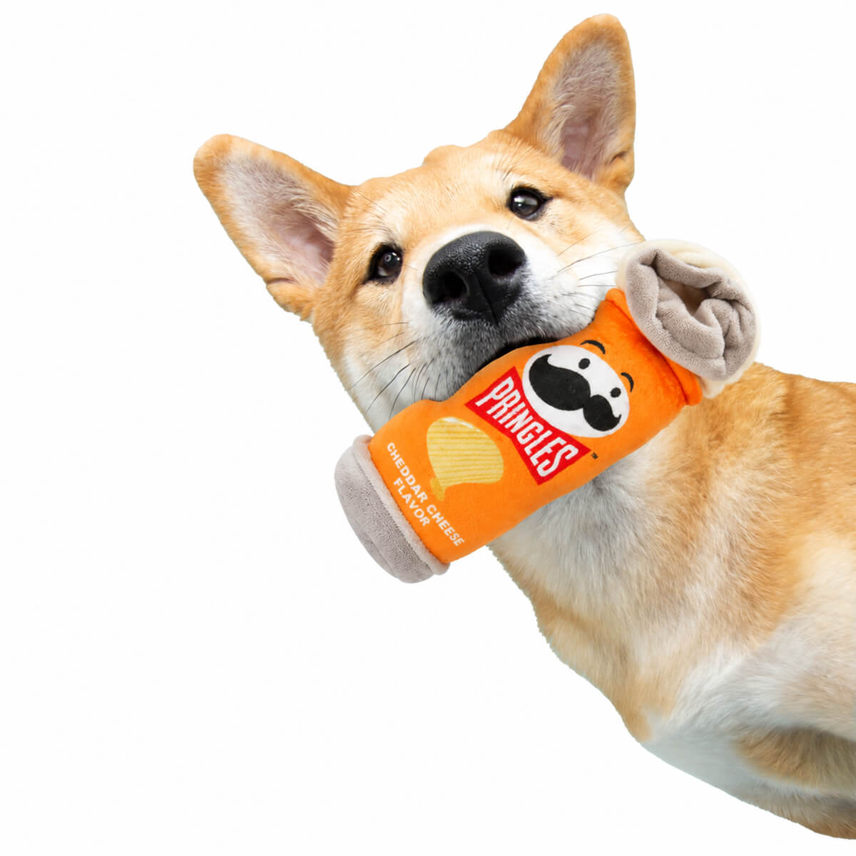undefined - a5c4c_Eolo_Pringles_Gicirdakli_Kopek_Oyuncagi.jpg