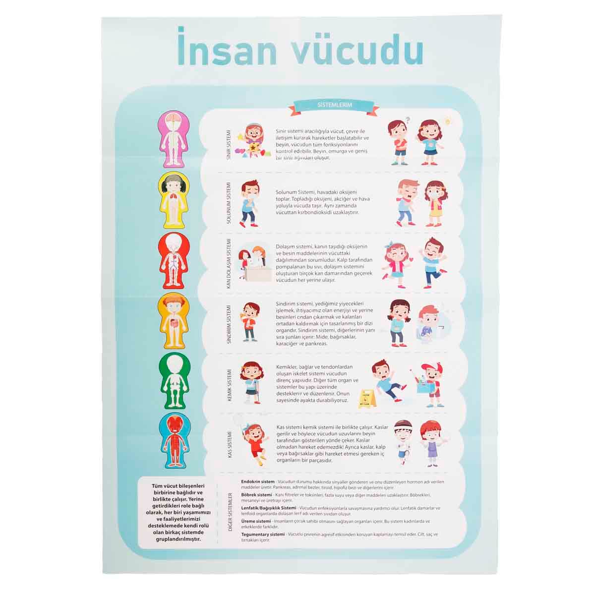undefined - a6c76_Smile_Games_Insan_Vucudu_Puzzle_60_Parca_.jpg