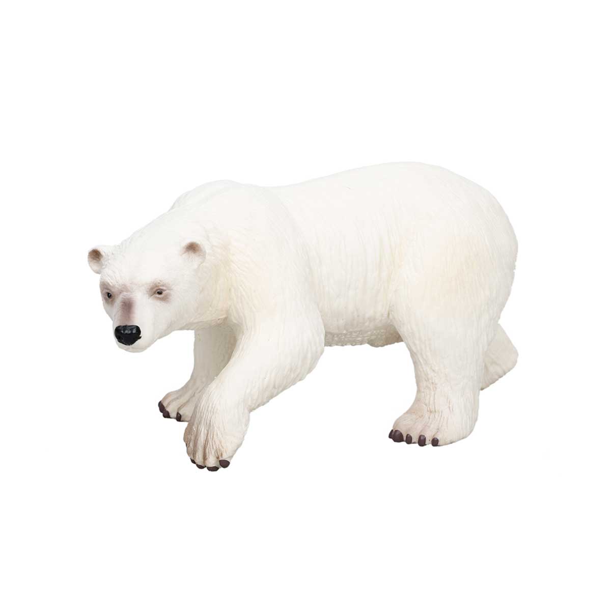 undefined - a9b92_Kutup_Ayisi___.jpg
