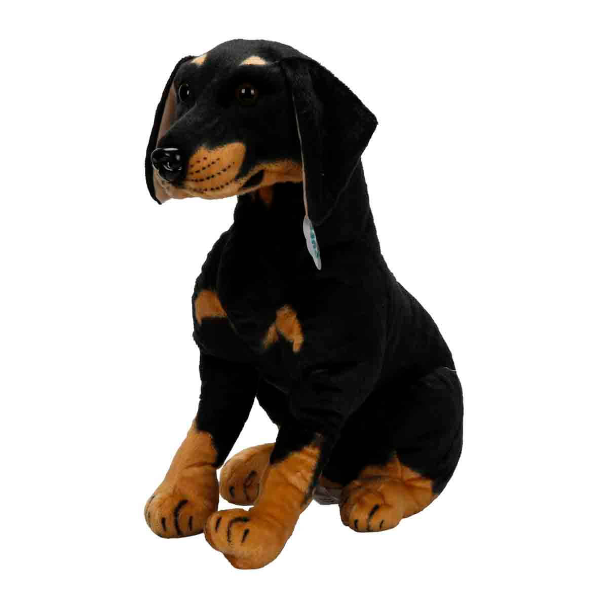 undefined - aa755_Rottweiler_68_cm._Pelus.jpg