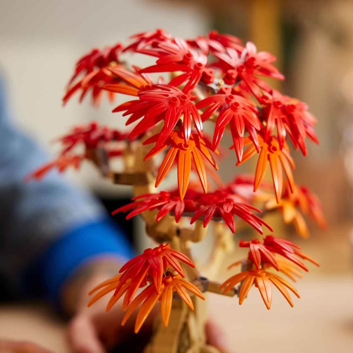 undefined - acc1c_LEGO_Botanicals_Japon_Kirmizi_Akcaagac_Bonsai_Agac.jpg