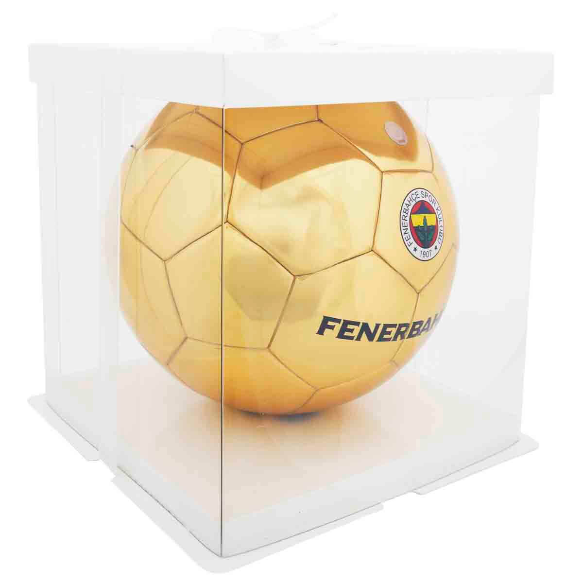 undefined - ae5ff_Fenerbahce_Futbol_Topu_FB_5127.jpg