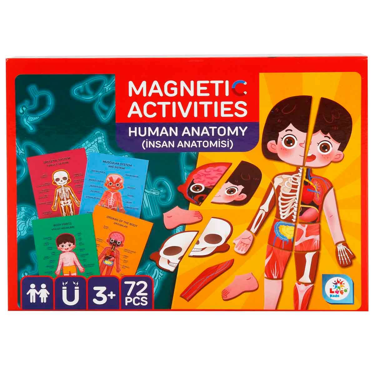 undefined - b09d4_Manyetik_Aktivite_Insan_Anatomisi_72_Parca.jpg