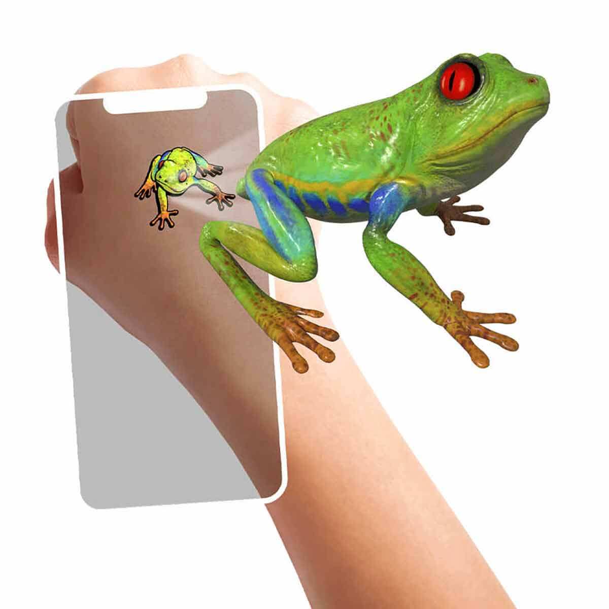undefined - b2f0d_-.jpg