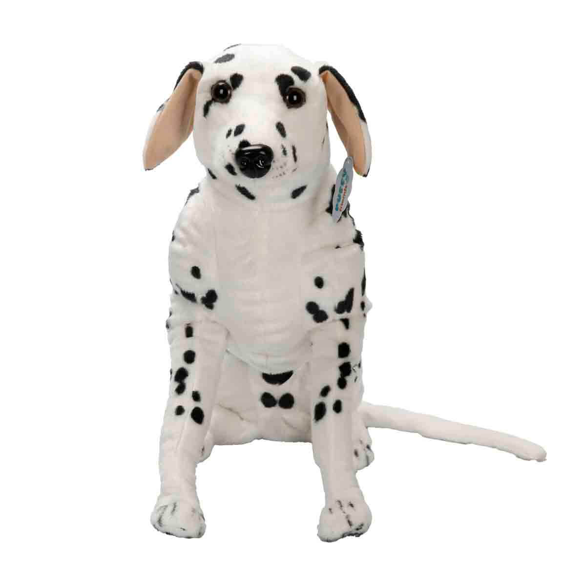 undefined - b3bb5_Dalmacyali_68_cm._Pelus.jpg