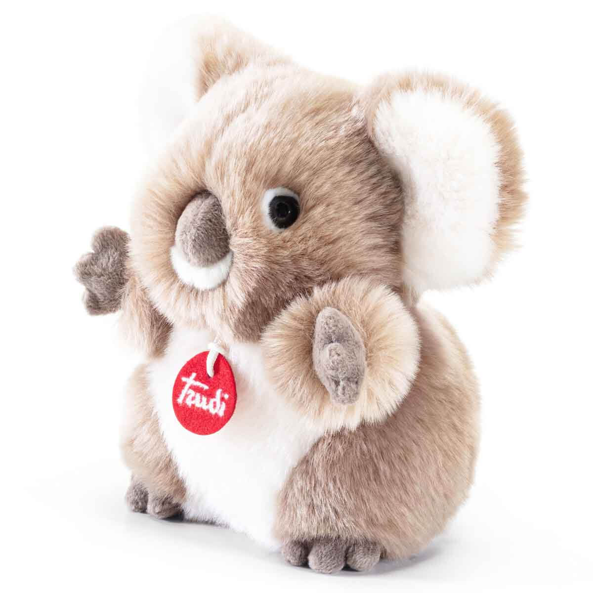 undefined - b4785_Pelus_Koala_29009.jpg
