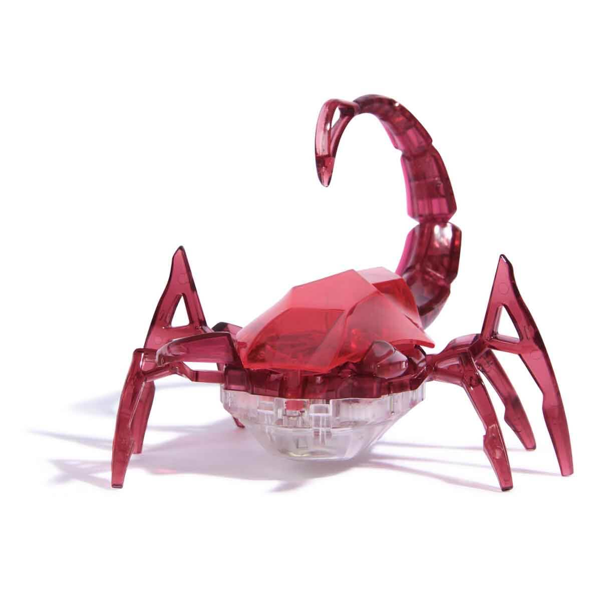 undefined - b4f40_Hex_Bots_Robotik_Akrep.jpg