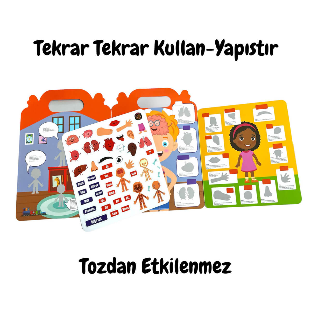 undefined - b5090_Lino_Tekrar_Tekrar_Kullanilabilen_Ilk_Sticker_Kita.jpg