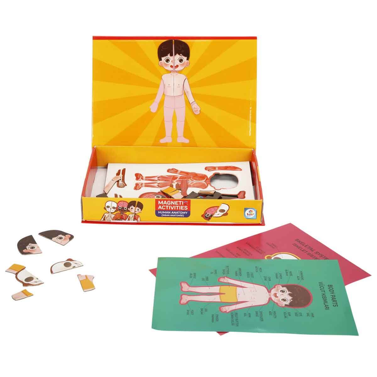undefined - b5896_Manyetik_Aktivite_Insan_Anatomisi_72_Parca.jpg