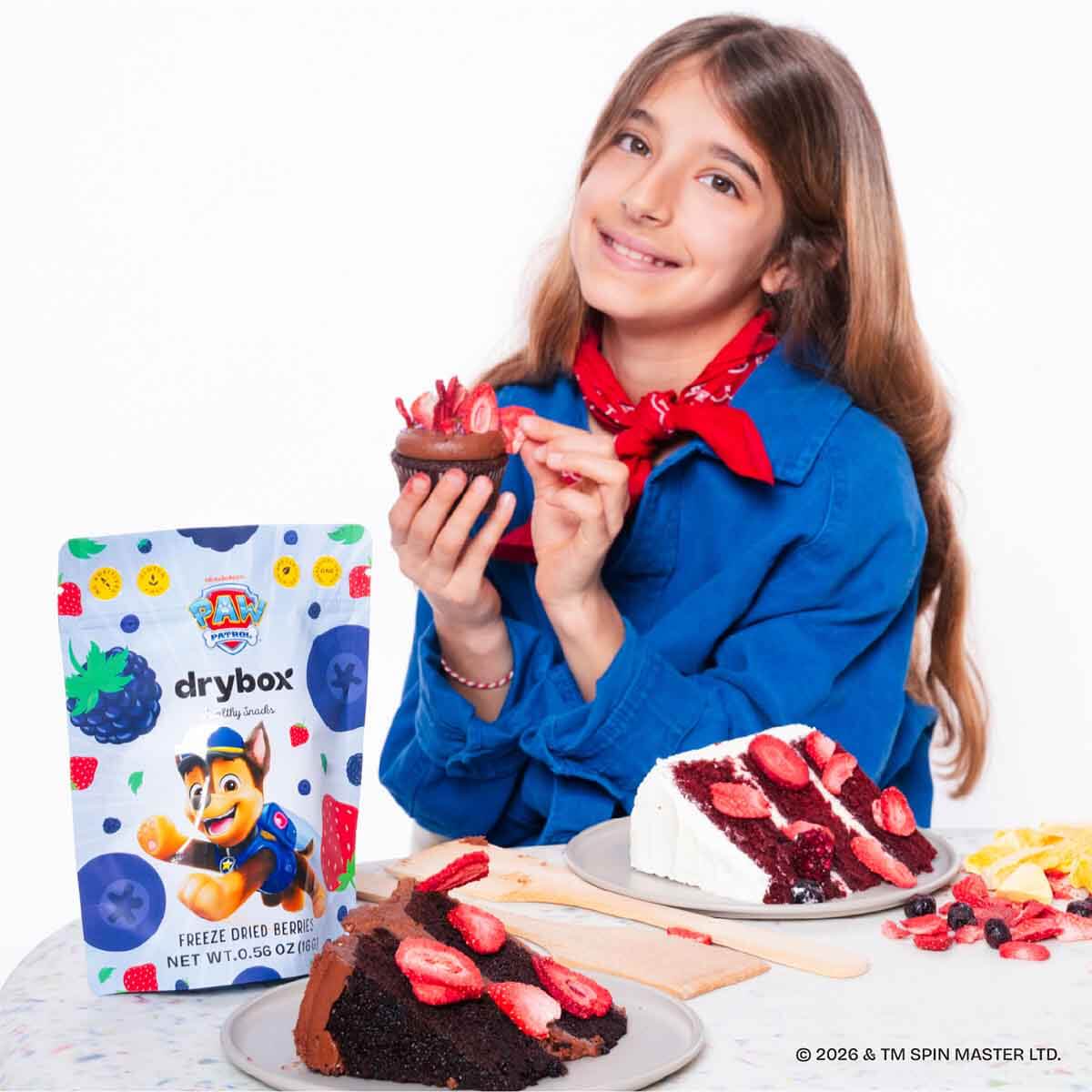 undefined - b59fb_DryBOX_PAW_Patrol_Dondurularak_Kurutulmus_Orman_Me.jpg