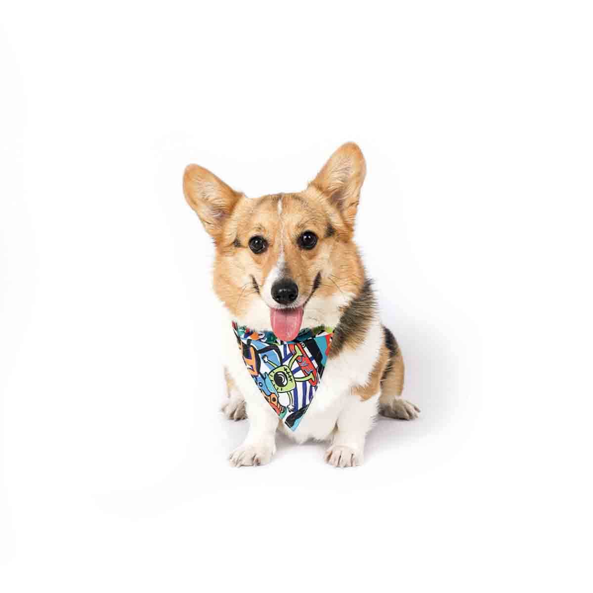 undefined - b69f9_M_Pets_Urban_Style_Freestyle_Kopek_Bandanasi_M.jpg