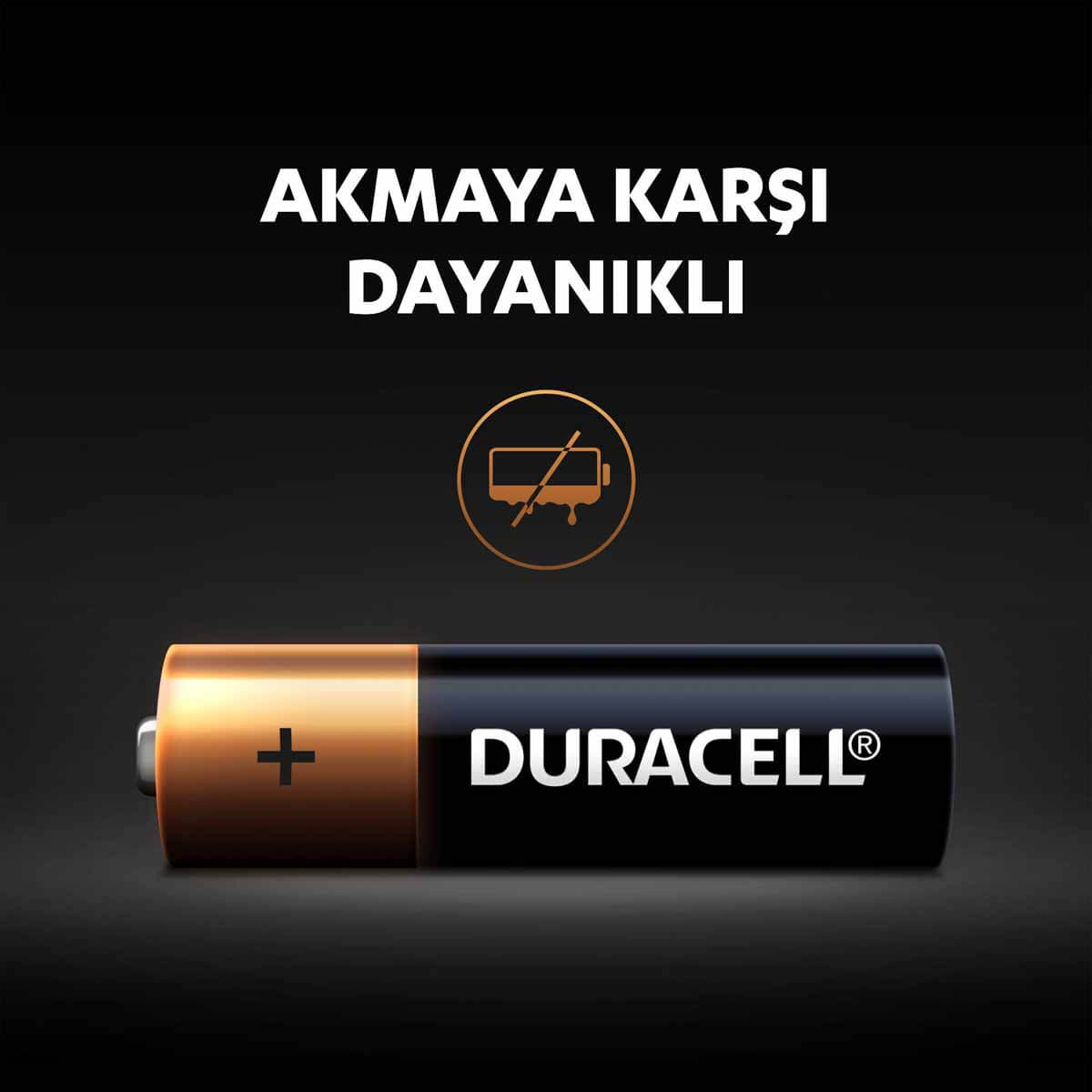 undefined - bb03b_Duracell_Basic_Kalem_Pil_AA_6li_.jpg