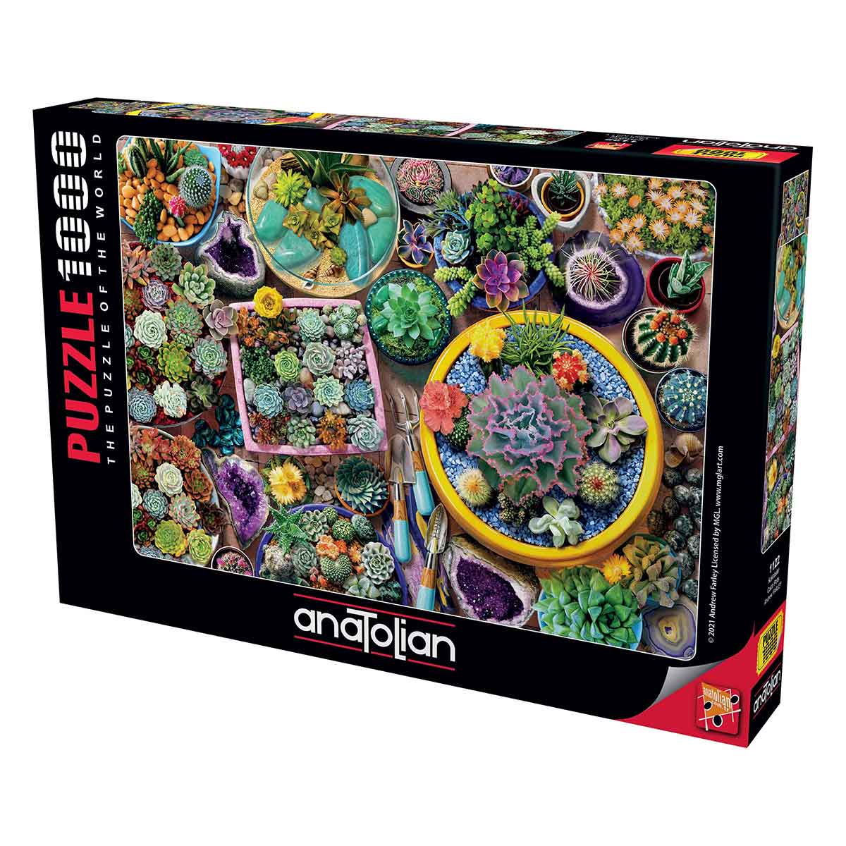 undefined - bb348_1000_Parca_Puzzle__Kaktusler.jpg
