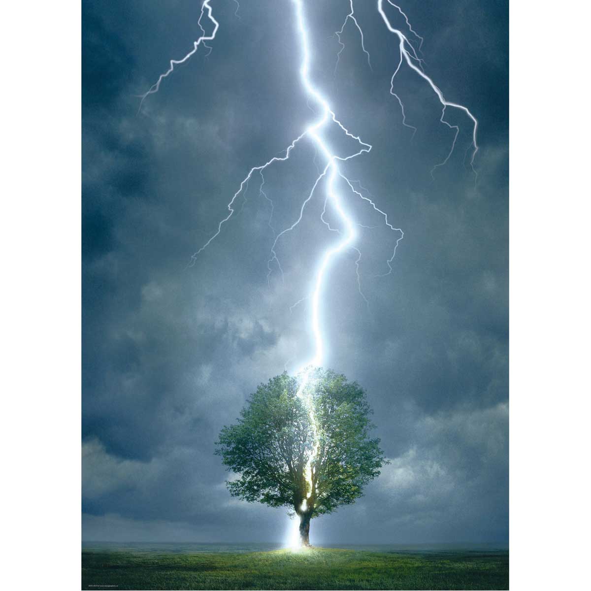 undefined - bc3ae_1000_Parca_Puzzle_:_Lightning_Striking_Tree.jpg