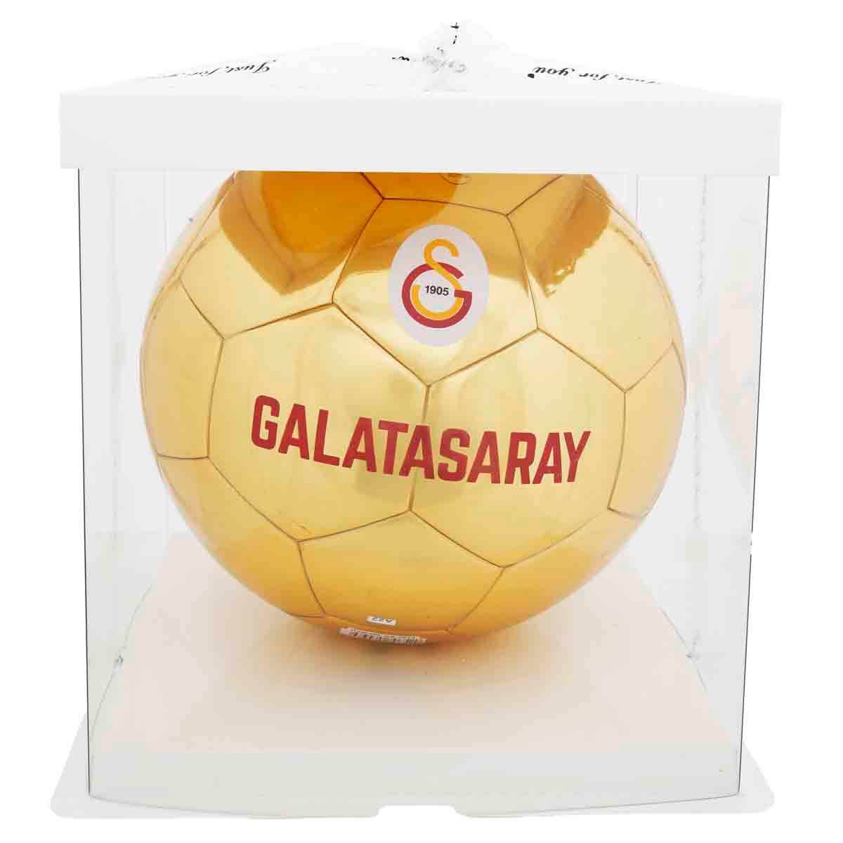 undefined - c1926_Galatasaray_Futbol_Topu_GS_7013.jpg