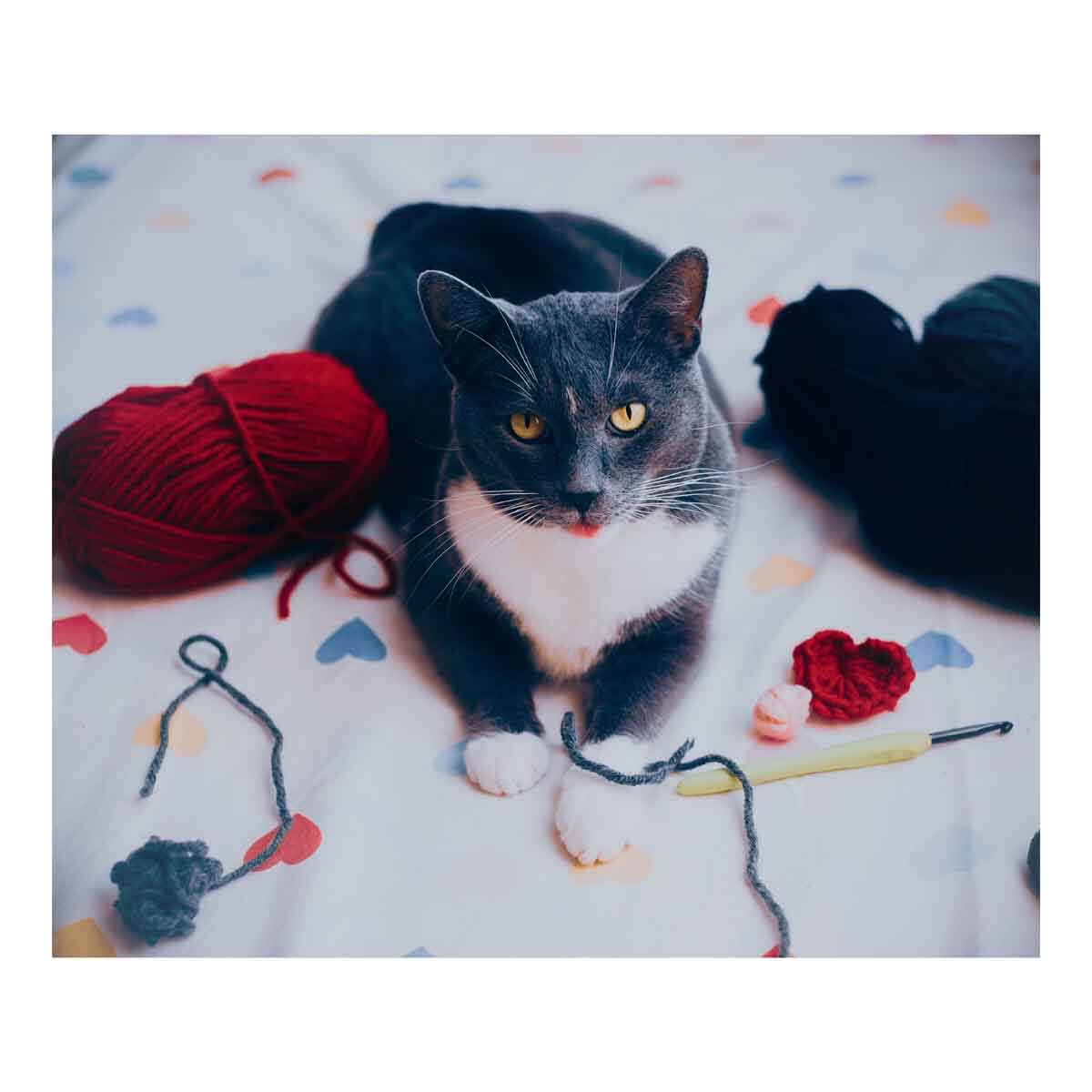 undefined - c1a60_100_Parca_Puzzle_Sevimli_Gri_Kedi.jpg