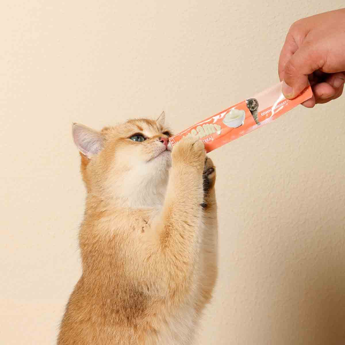 undefined - c2386_M_Pets_Creamy_Somon_Balikli_Kedi_Odulu.jpg