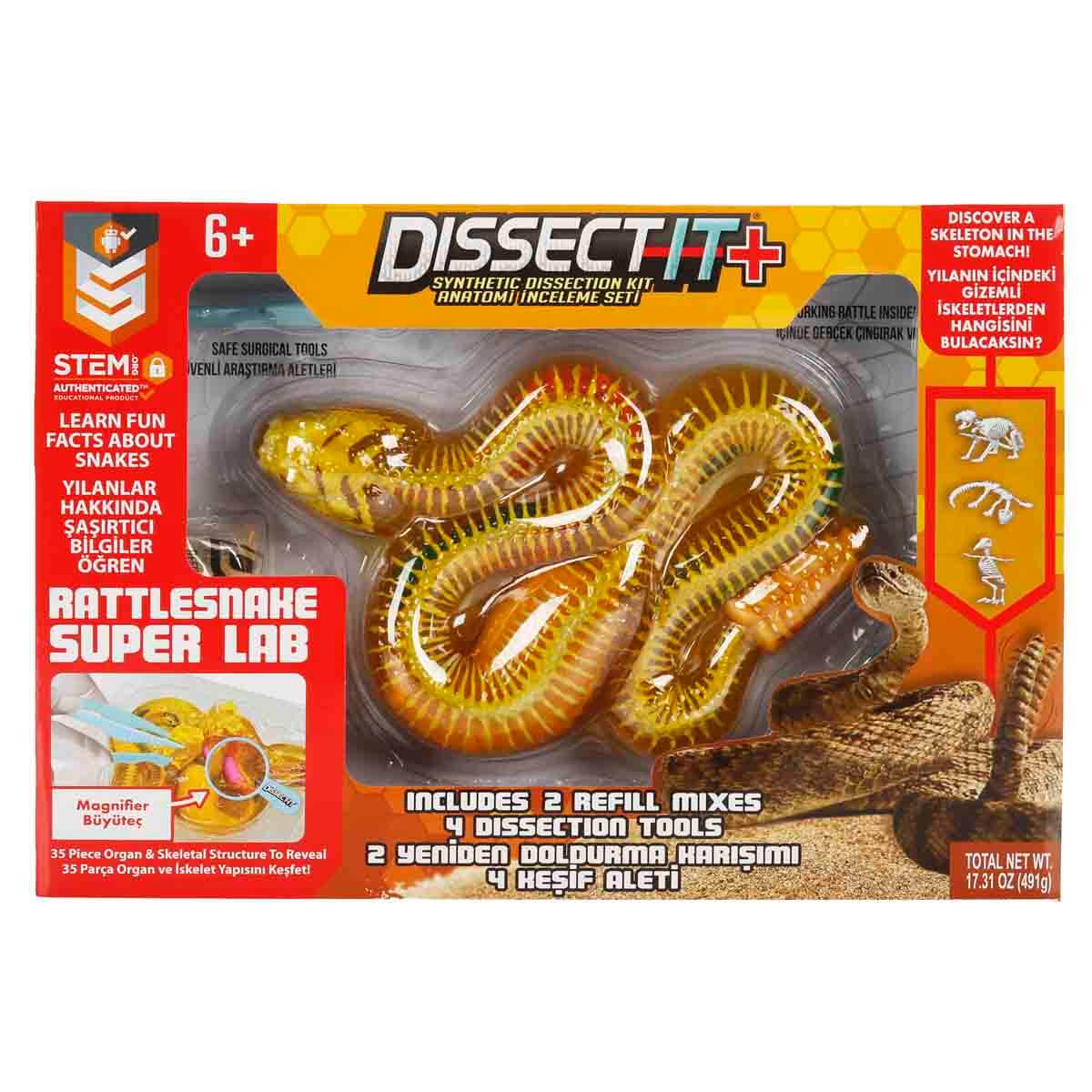 undefined - c4bfe_Slimy_Cingirakli_Yilan_Iskelet_Anatomi_Inceleme_Se.jpg