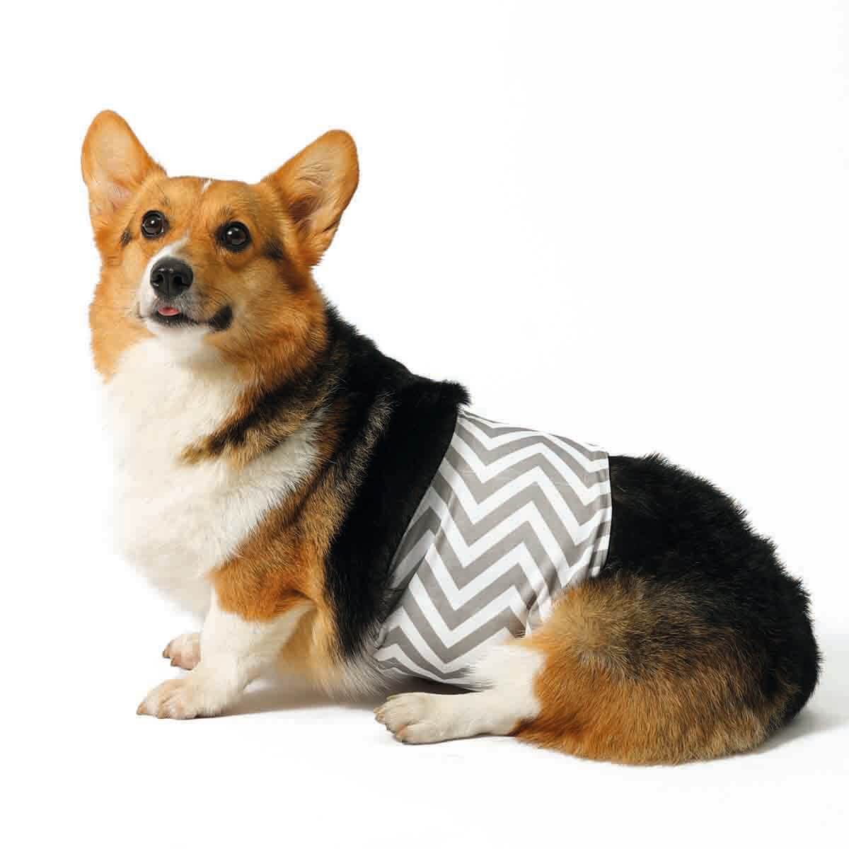 undefined - c5d0a_M_Pets_Erkek_Kopekler_Icin_Yikanabilir_Kulot_L.jpg