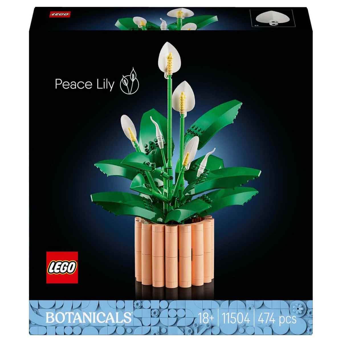 undefined - c77de_LEGO_Botanicals_Baris_Cicegi_11504_.jpg