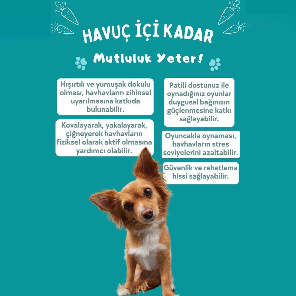 undefined - c7e3b_Havhav_Cilgin_Havuc_Hisirtili_Pelus_Kopek_Oyuncagi.jpg