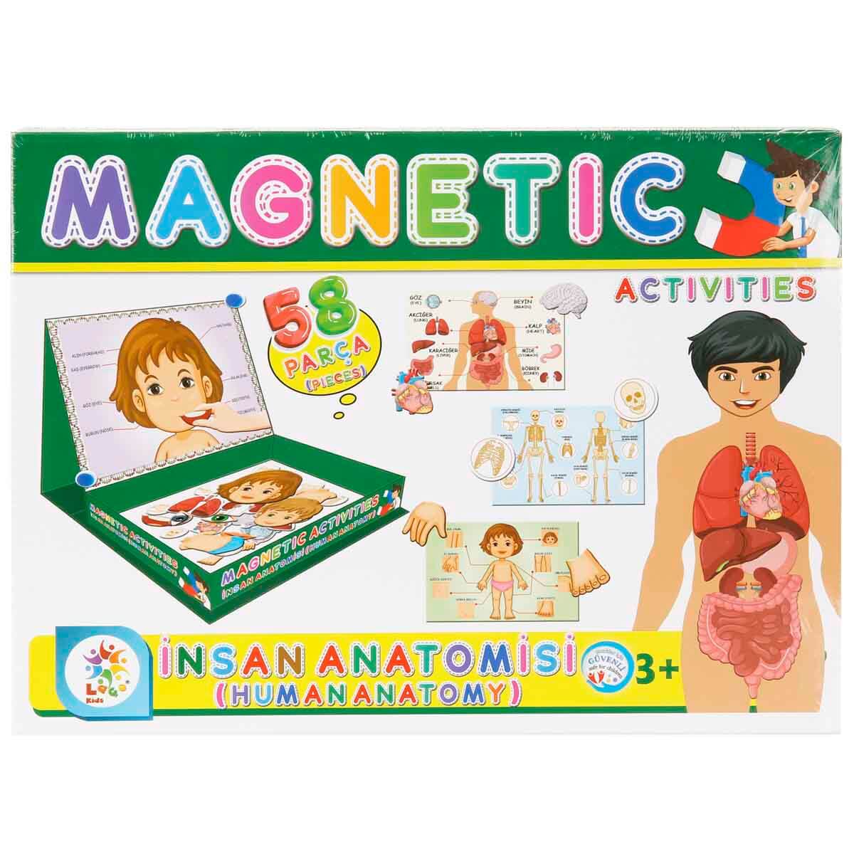 undefined - c8402_Manyetik_Insan_Anatomisi_Aktivite_Oyun_Seti_58_Par.jpg