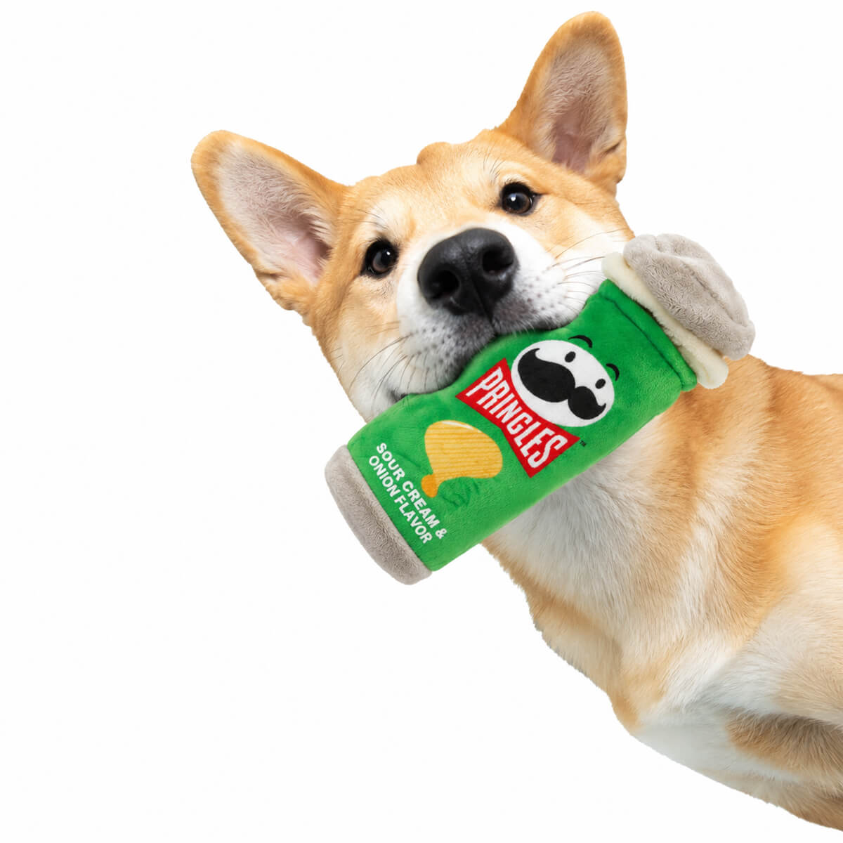 undefined - c8b9a_Eolo_Pringles_Gicirdakli_Kopek_Oyuncagi.jpg