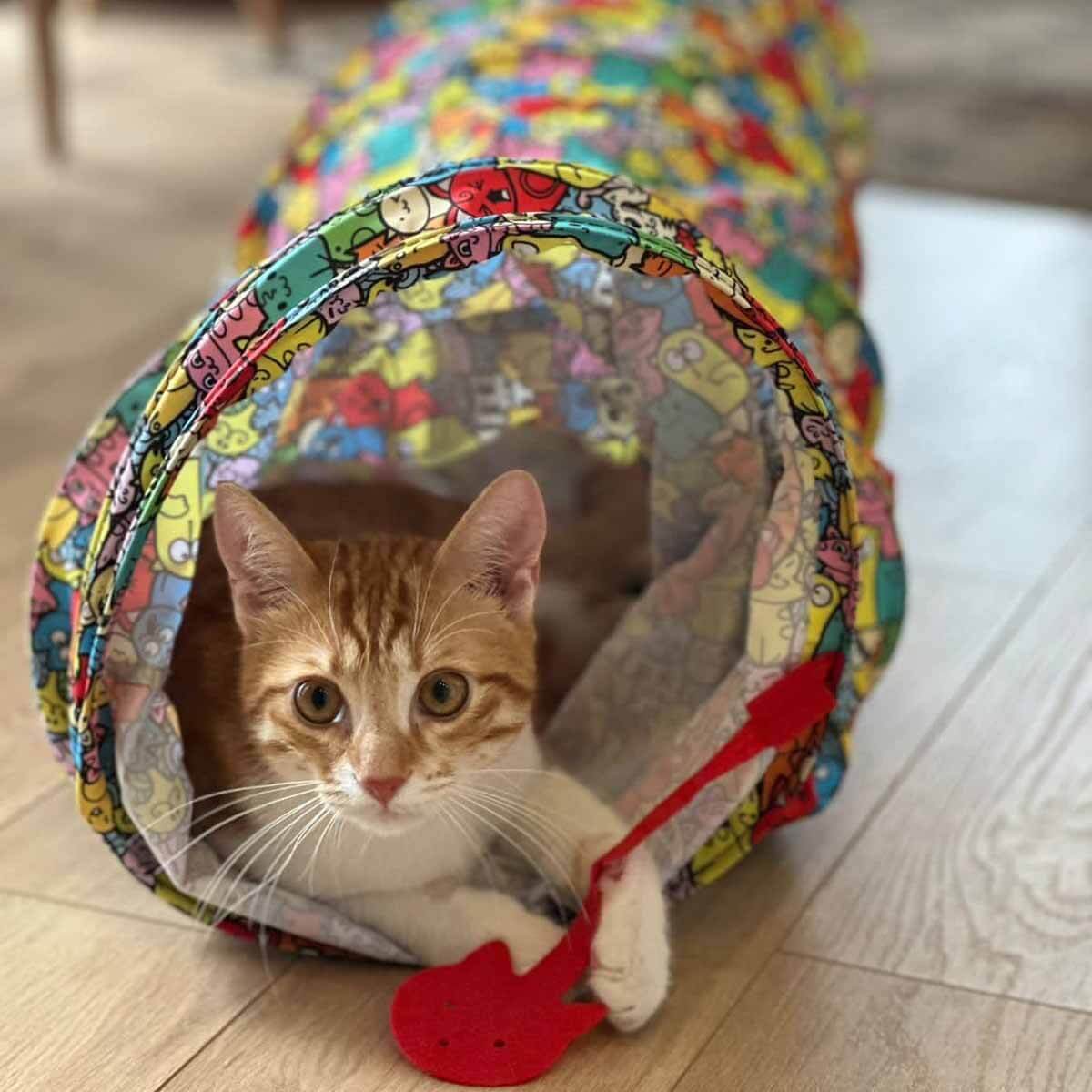 undefined - c8ecd_Miyav_Kedi_Desenli_Renkli_Kedi_Tuneli_125_cm.jpg
