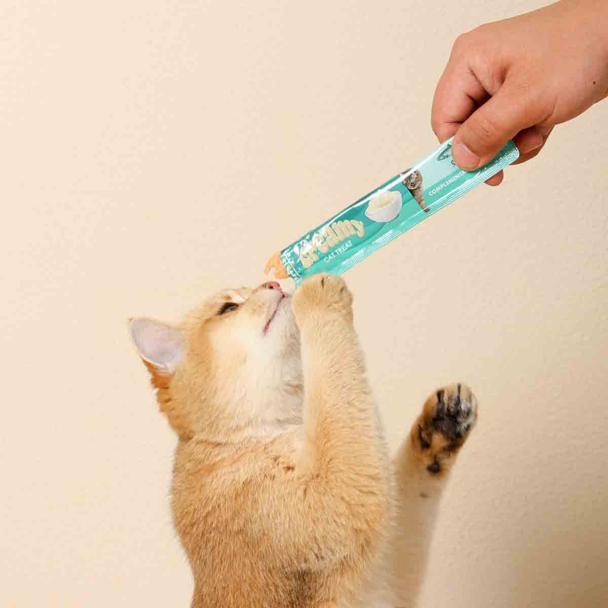 undefined - caeba_M_Pets_Creamy_Somon_Balikli_Biftekli_Kedi_Odulu.jpg