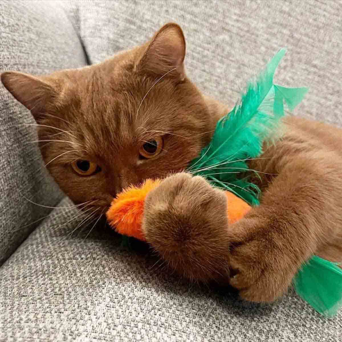 undefined - cb777_Miyav_Catnipli_Kedi_Oyuncagi_Pelus_Havuc.jpg